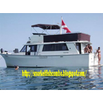Delphine's SnorkelFishCombo.com