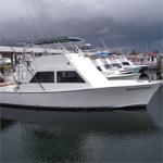 Paradise Fishing Charters