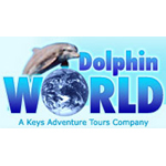 Swimming with Dolphins Tours