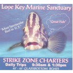 Strike Zone Charters - Looe Key Marine Sanctuary