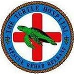 The Turtle Hospital